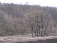 Кип'ячка з panoramio.com