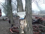 Зарябинка з panoramio.com