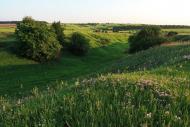 Руська Лозова з panoramio.com