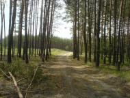 Морозівка з panoramio.com