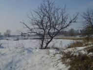 Дослідницьке з panoramio.com