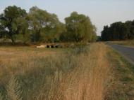 Островерхівка з panoramio.com