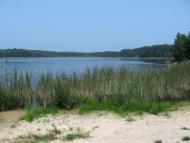 Карасин з panoramio.com