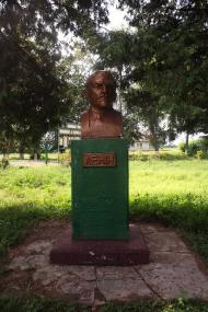 Прищеповка - Последние фото