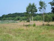 Ганнусине з panoramio.com