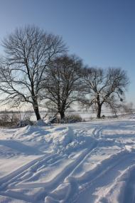 Дмитрів з panoramio.com