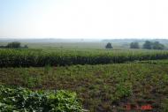 Веселоіванівське з panoramio.com