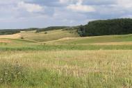 Глинськ з panoramio.com - Глинск