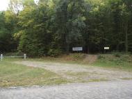 Антоніна - Останні фото