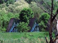 Новокурське з panoramio.com