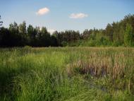 Діброво-Ленінське з panoramio.com