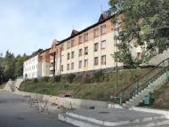 Вербка з panoramio.com