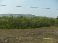 Сирень з panoramio.com