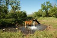 Хрустальний з panoramio.com