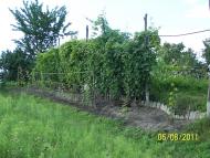 Кошарське з panoramio.com