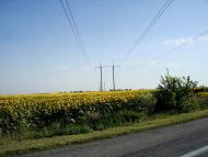 Мала Вільшанка з panoramio.com