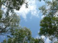 Добрянка з panoramio.com