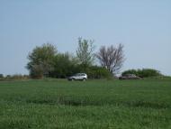 Острівка з panoramio.com