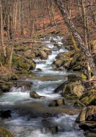 Родниківка з panoramio.com