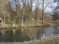 Цурків з panoramio.com