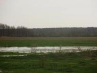 Травневе з panoramio.com