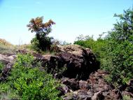 Гурівка з panoramio.com