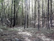 Пугачівка з panoramio.com