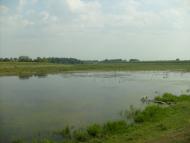 Малютинці з panoramio.com