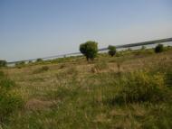 Орлівське з panoramio.com