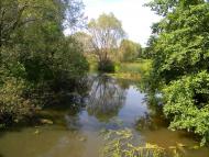 Півнівщина з panoramio.com