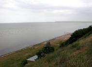 Шелюги з panoramio.com