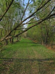 Степок з panoramio.com