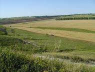 Лозне з panoramio.com