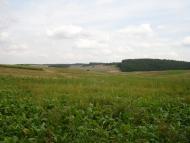 Глинськ з panoramio.com - Глинск