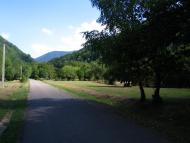 Тур'я Поляна з panoramio.com