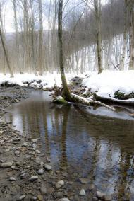 Родниківка з panoramio.com