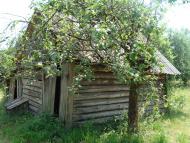 Річки з panoramio.com