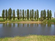 Новотошківське з panoramio.com