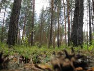 Пархоменко з panoramio.com