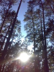 Діброво-Ленінське з panoramio.com