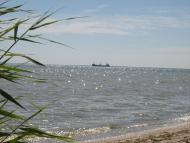 Солончаки з panoramio.com