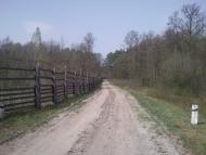 Котів з panoramio.com