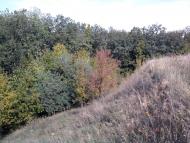 Пугачівка з panoramio.com