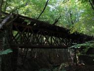 Тур'я Поляна з panoramio.com