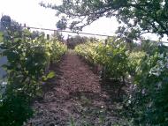 Городнє з panoramio.com