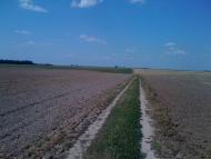 Верхівка з panoramio.com