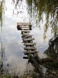 Загірське - Останні фото