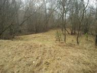 Тросне з panoramio.com