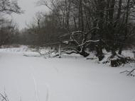 Балівка з panoramio.com