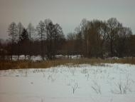 Липівка з panoramio.com